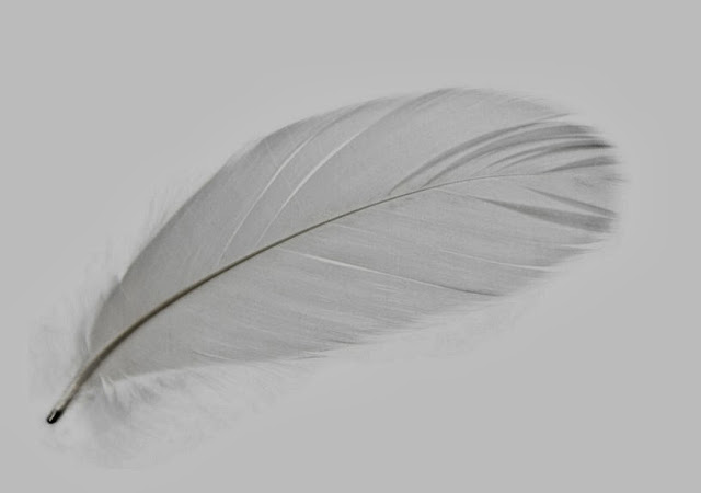 magnetic feathers mineheart