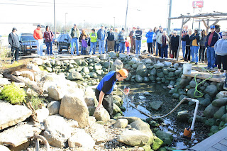 spring pond cleaning class spring pond cleaning class