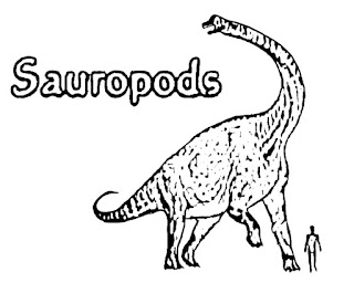 Sauropoda Coloring Page With Name Sauropoda Coloring Page With Name