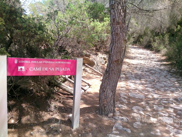foto cami de sa pujada