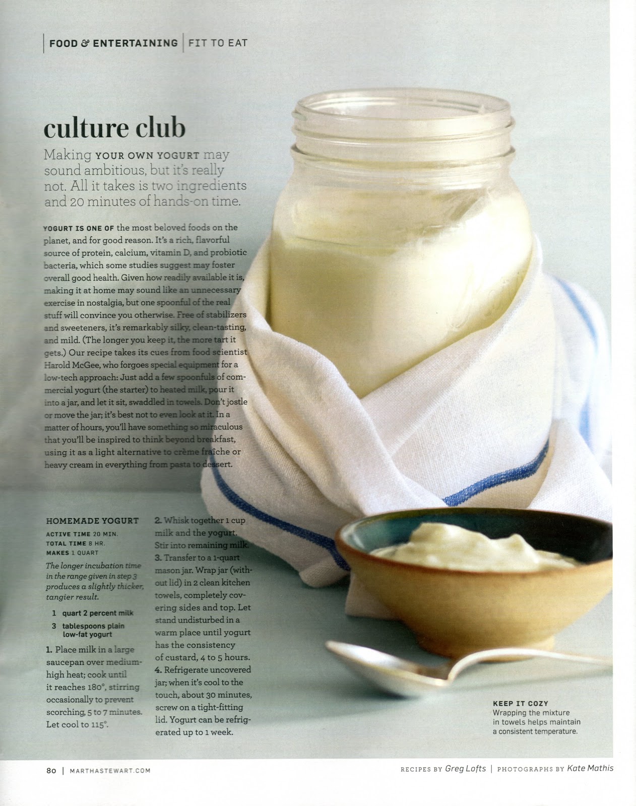 marcus hay fluff N stuff Martha Stewart Living/ Yogurt Story