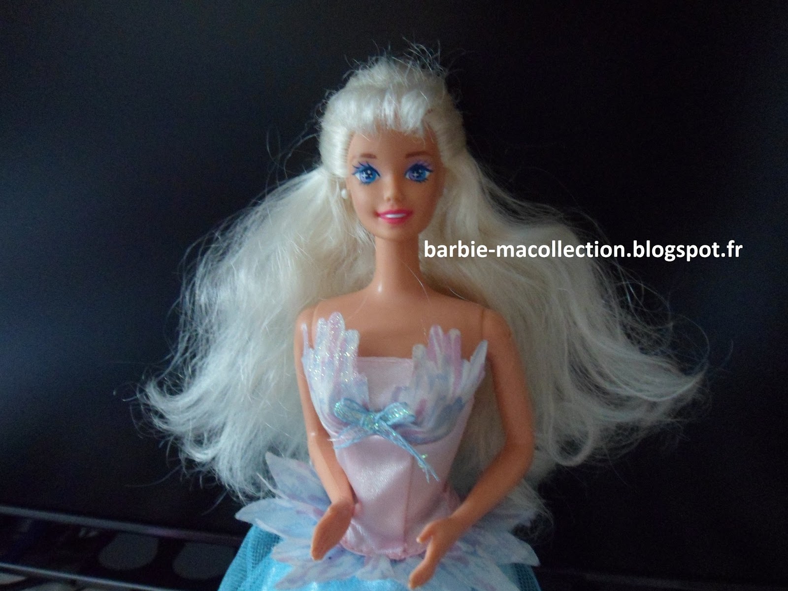 Ma collection de Barbie Vêtements Barbie Lac des Cygnes (Vide Greniers)