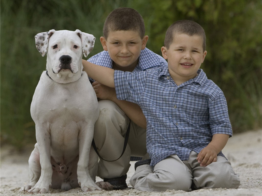 American Bulldogs Perfect Companion for Families with Children