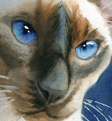 siamese cat cats watercolor painting rachel paintings eyes seal point chocolate cartoon studio parker visit aesthetic giclee gift decor giclee