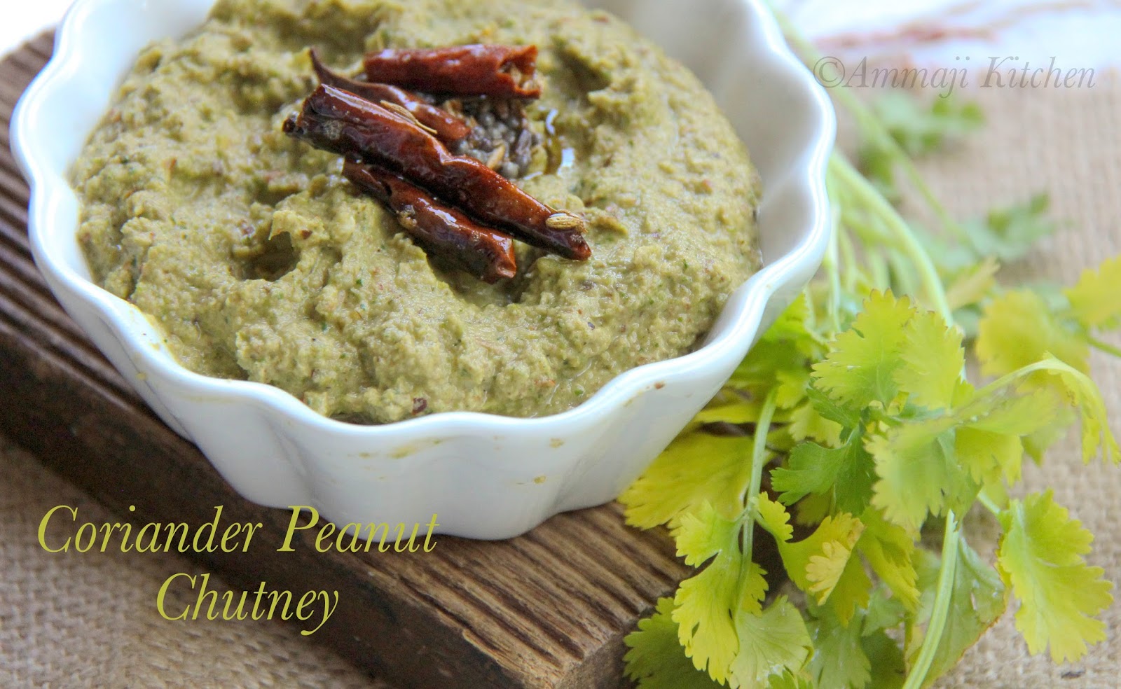Coriander Peanut Chutney Indian Food Recipes Ammaji Kitchen