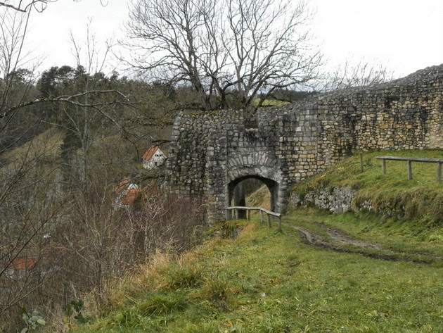 Die Schwäbische Alb und ihre Natur Burgruine Veringen mit