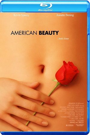 American Beauty BRRip BluRay Single Link, Direct Download American Beauty BRRip 720p, American Beauty BluRay 720p