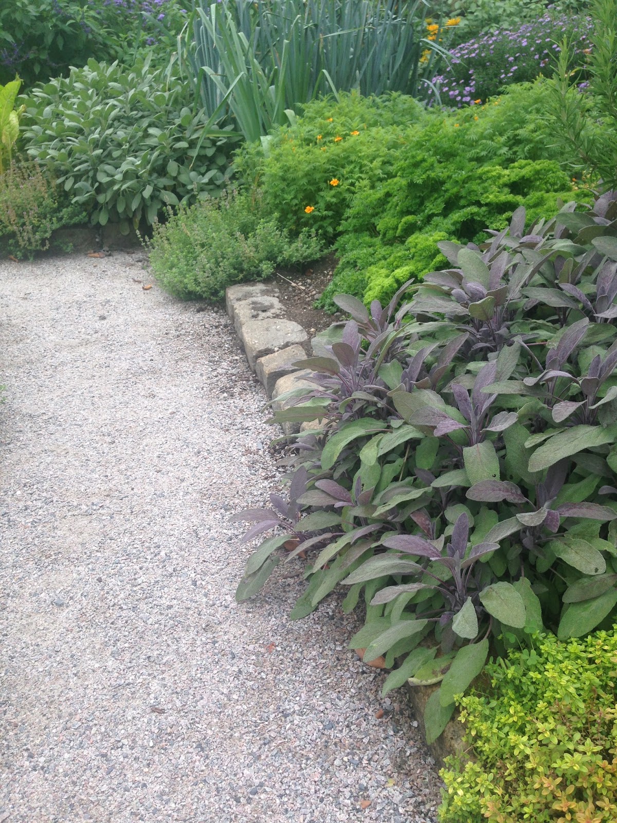 In a Garden The Gardens at Clock Barn Part 2