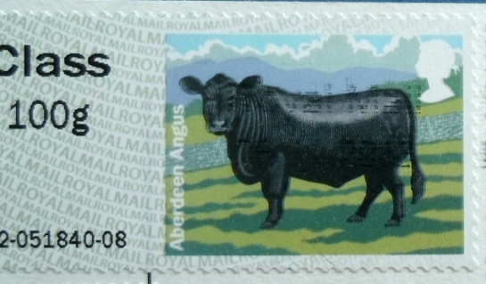Mail Adventures: Cows