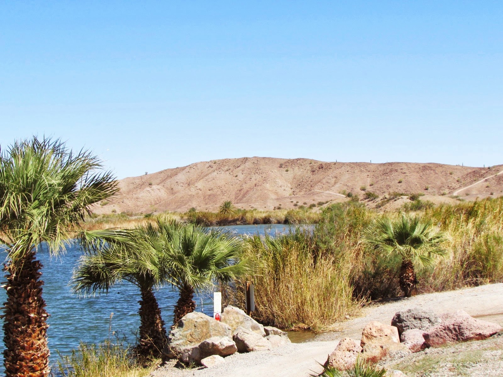 "Not All Those Who Wander Are Lost" Hidden Shores Village (Yuma, Arizona)