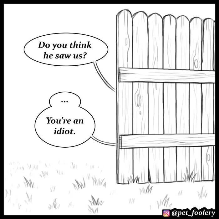After Winning The Hearts Of Over 1,4M Followers, Pixie And Brutus Are Here With 6 More Adorable Comics After Winning The Hearts Of Over 1,4M Followers, Pixie And Brutus Are Here With 6 More Adorable Comics