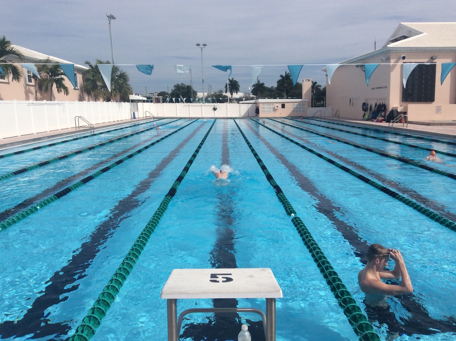 Long Eaton Swimming Club Blog February 2016