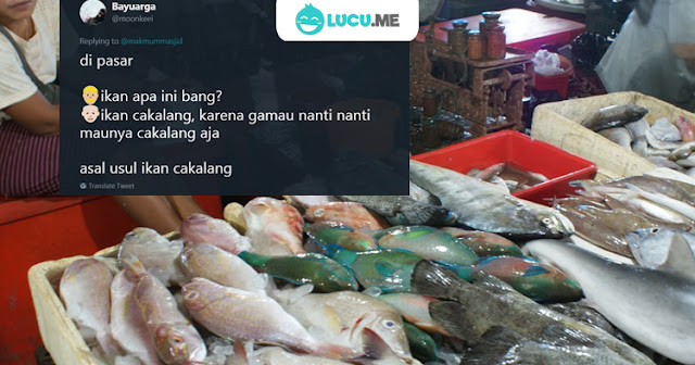 10 Meme 'Asal Usul Ikan' Ini Ngasalnya Bikin Ngakak