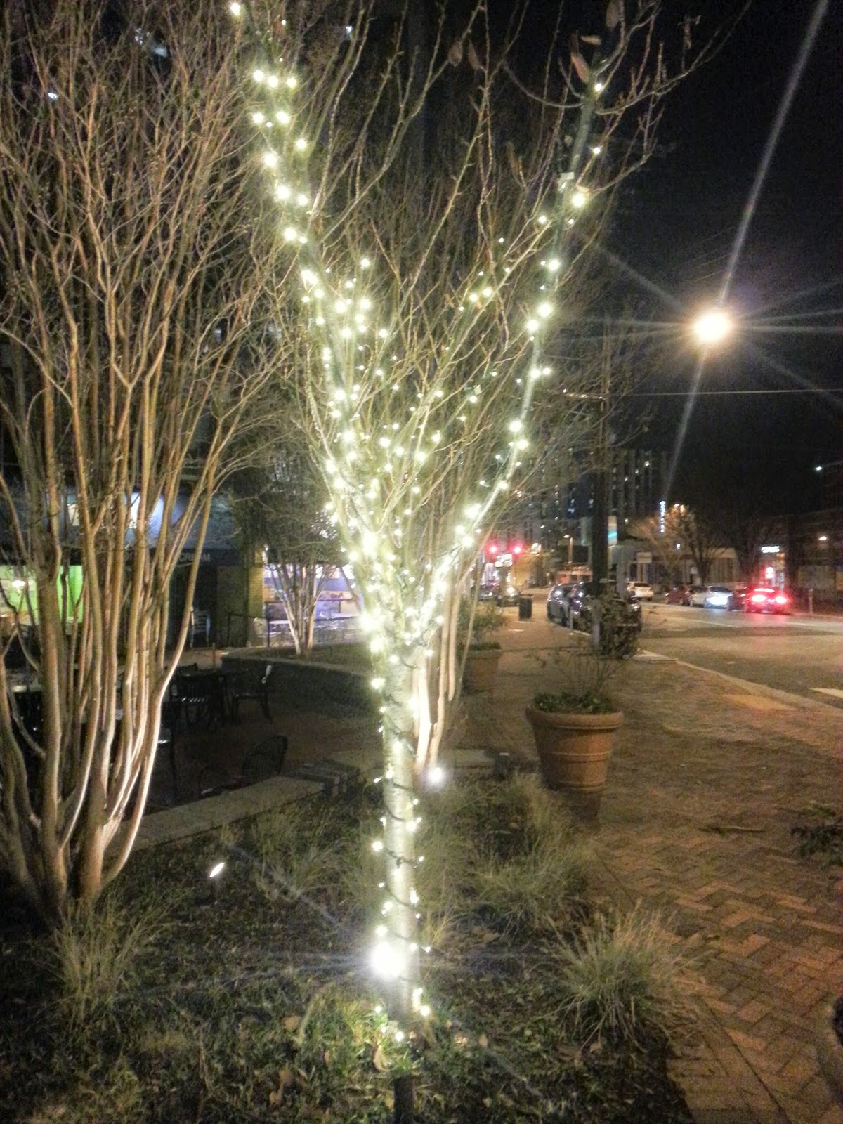 Robert Dyer Bethesda Row HOLIDAY LIGHTS IN VETERANS PARK (PHOTOS)