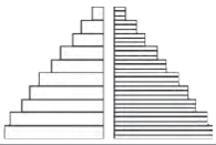 bagan1 piramida penduduk ekspansif