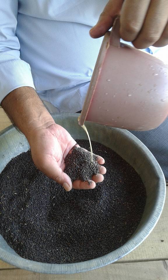 Seed treatment Traditional methods