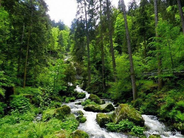 Cascadas de Triberg, Selva Negra, Alemania