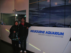 Melbourne Aquarium 2011