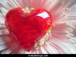 أجمل رسايل لعيد الحب ...أهنئ قلبي بحبك وصبر عيني في بعدك وأقول انك نورعيني يجعل روحي فدى قلبك