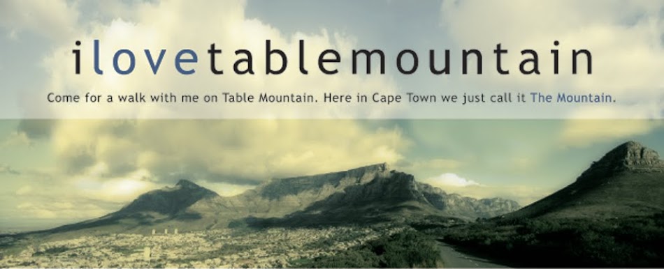 I Love Table Mountain Blog