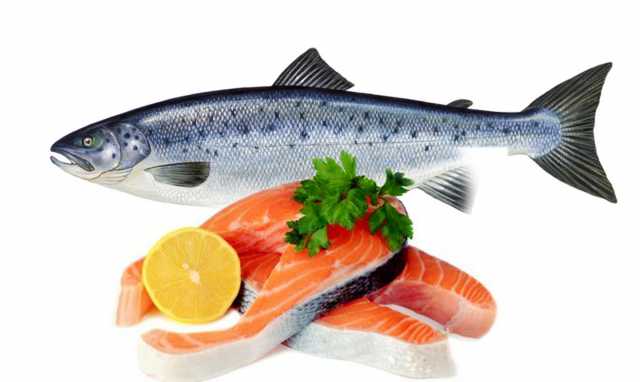 Manfaat Minyak Ikan Salmon untuk Kesehatan Minyak Ikan Salmon untuk Kesehatan