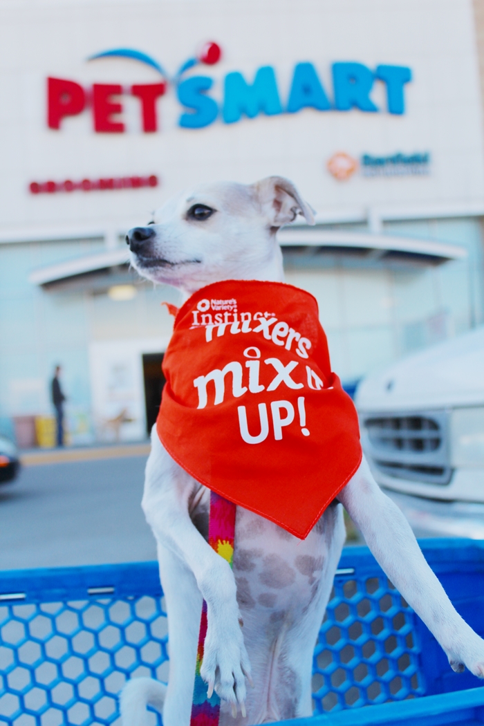 HAPPYHAZEL Let's MixItUp ! Instinct Raw Boost Mixers Review!