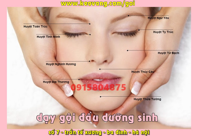 GỘI ĐẦU DƯỠNG SINH LÀ GÌ? MUỐN HỌC THÌ TÌM ĐẾN ĐÂU? CHỖ NÀO HÀ NỘI