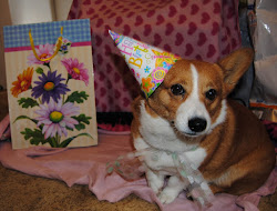 Happy Birthday corgi