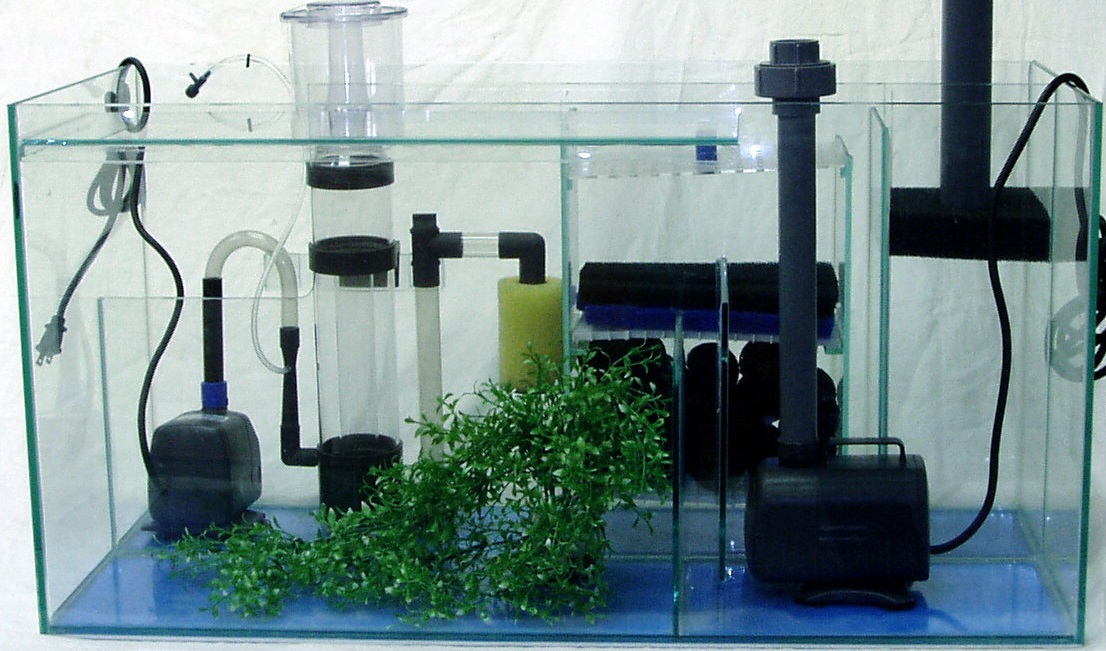 Jenis Filter Aquarium untuk Ikan Hias