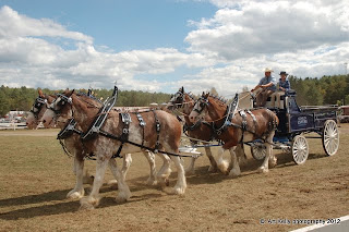 Living Off Grid - 45.05 N, 77.85 W: KINMOUNT FAIR - HORSE SHOW
