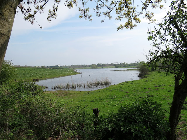 Sandbach Flashes, Cheshire