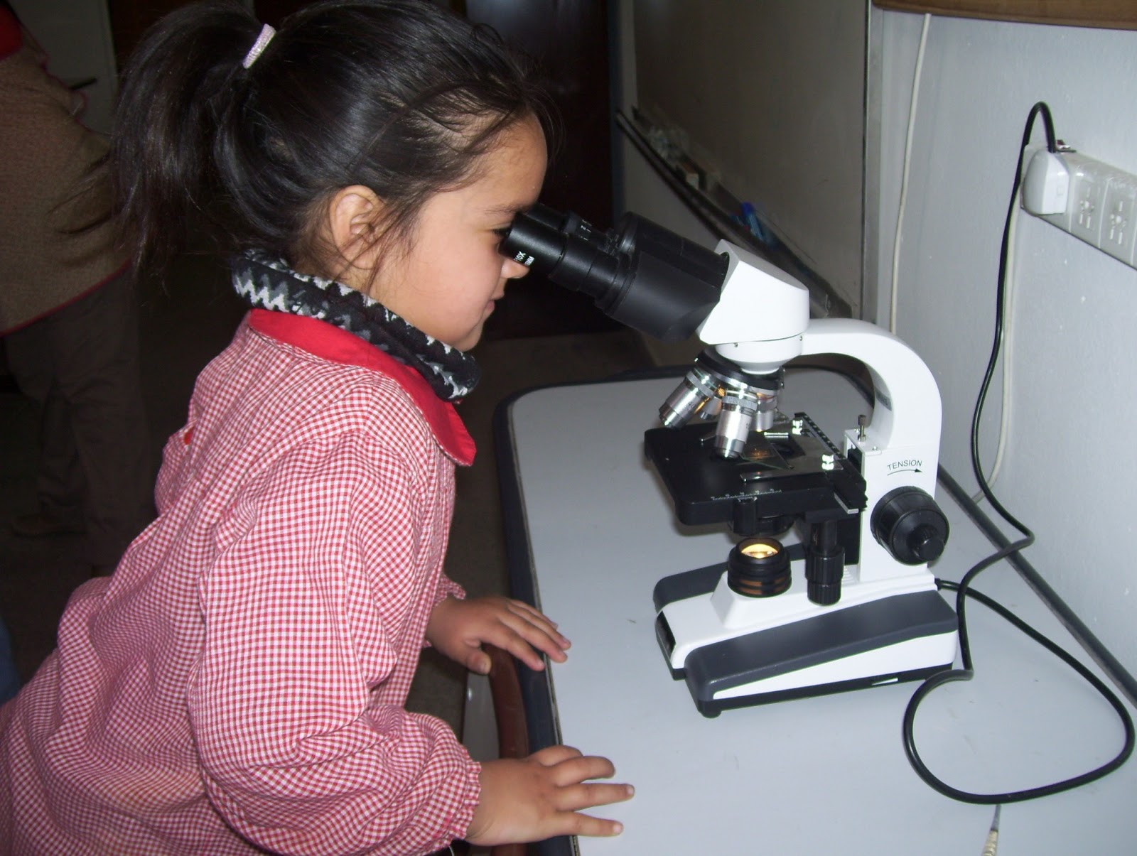Laboratoriodeciencias26: Nos visitó el jardín!
