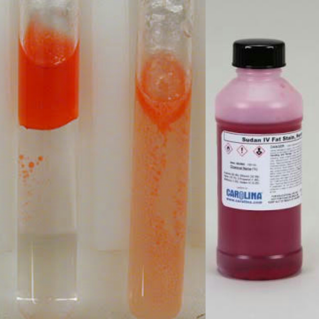 🌴 Food alert!!! Killer palm oil