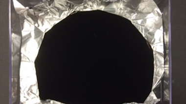 El color negro más negro del mundo