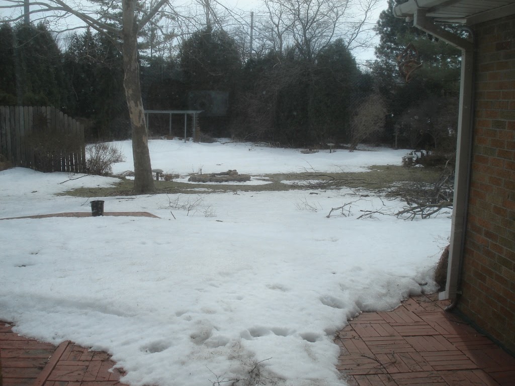 Wayne's World snow, snow go away