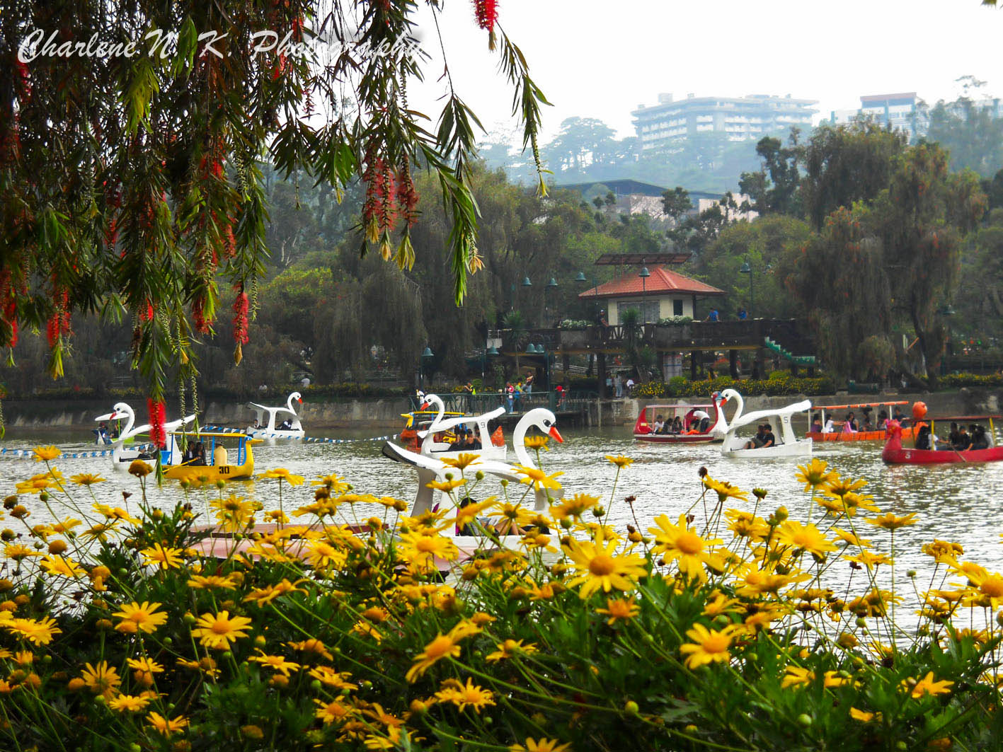 My Nature Photography Baguio City, Philippines