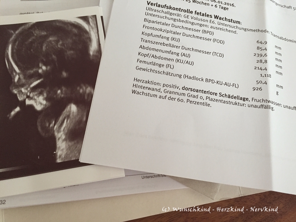 Wunschkind Herzkind Nervkind Schwangerschaft mit Hashimoto Thyreoiditis Teil 2