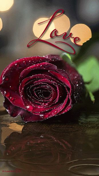 Love.gif