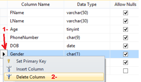 Welcome To TechBrothersIT: How to Add or Drop Column by using GUI in ...