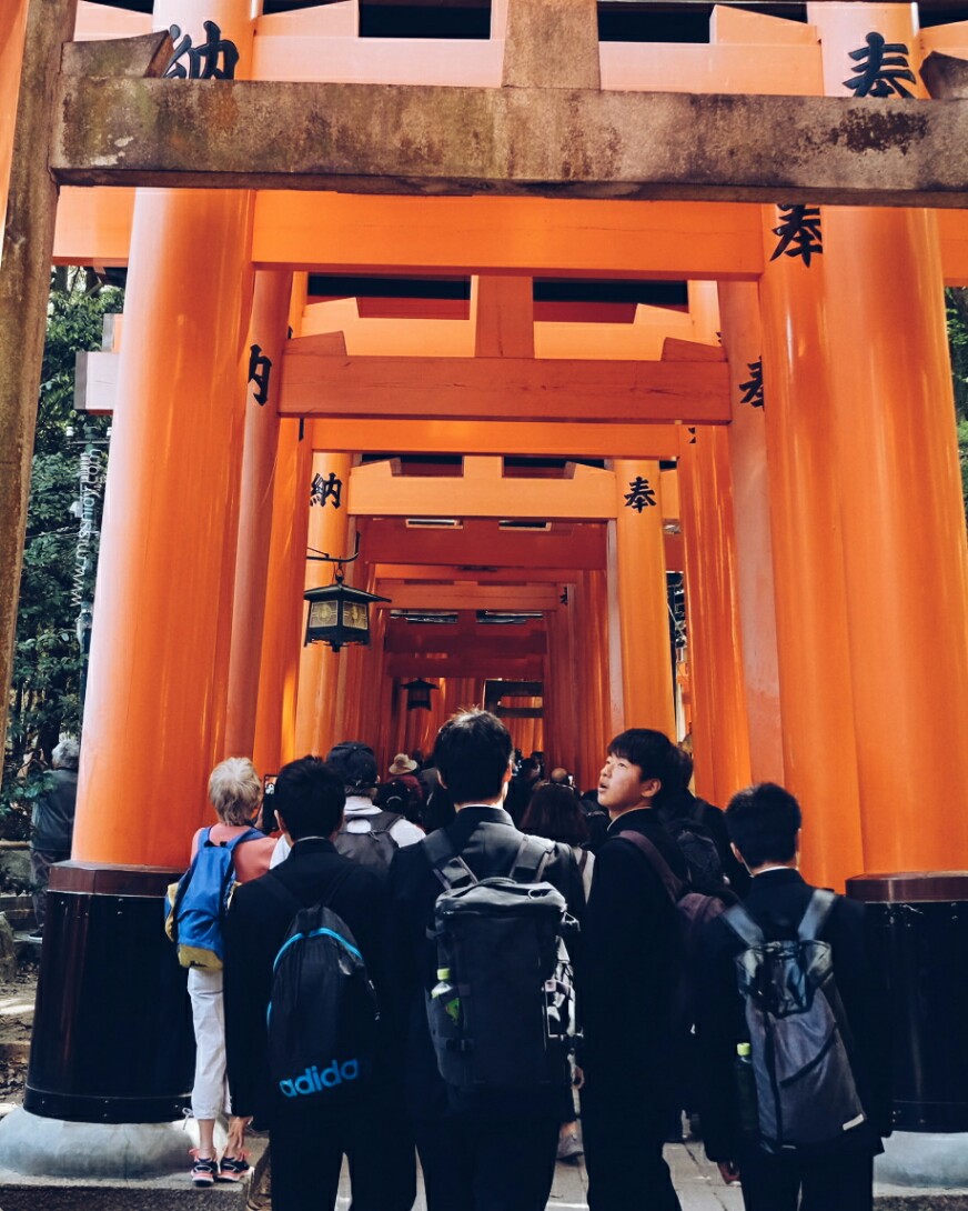 tori gate in fushimi inari kyoto