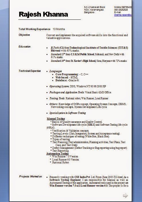 CURRICULUM VITAE CV MEANING visual data 4