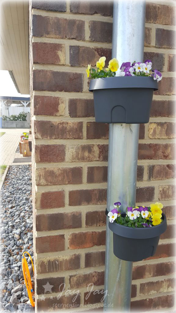 Sternensinn Garten Und Mehr Marz 2016