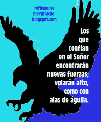 Renueva tus fuerzas, vuela como el águila confiando en Dios ~ Reflexiones  Cristianas de Mery Bracho