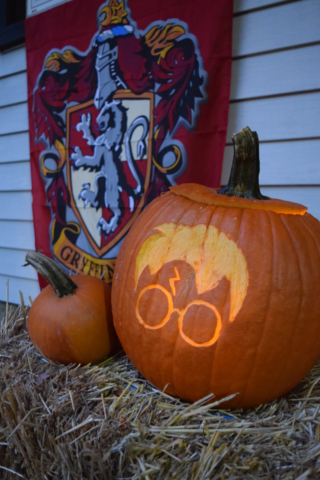 Harry Potter Halloween Yard