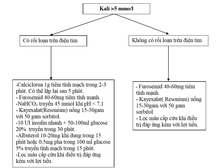 Sơ đồ xử trí tăng Kali máu