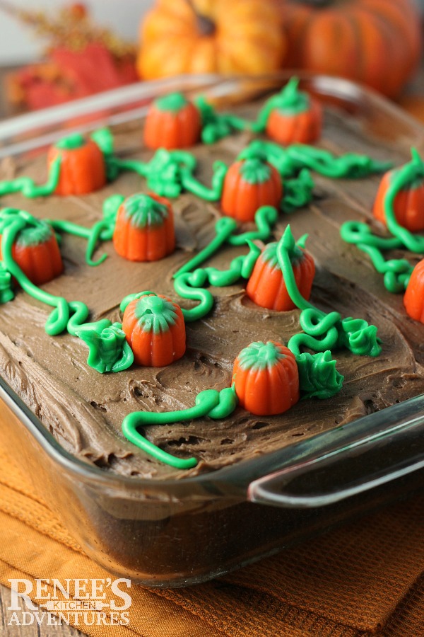 Pumpkin Patch Cake - easy recipe for homemade chocolate cake / chocolate frosting topped with a festive pumpkin patch.  Halloween and Thanksgiving.
