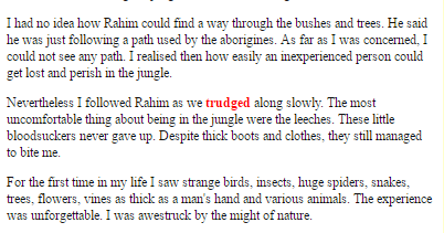 Essay honey notes image