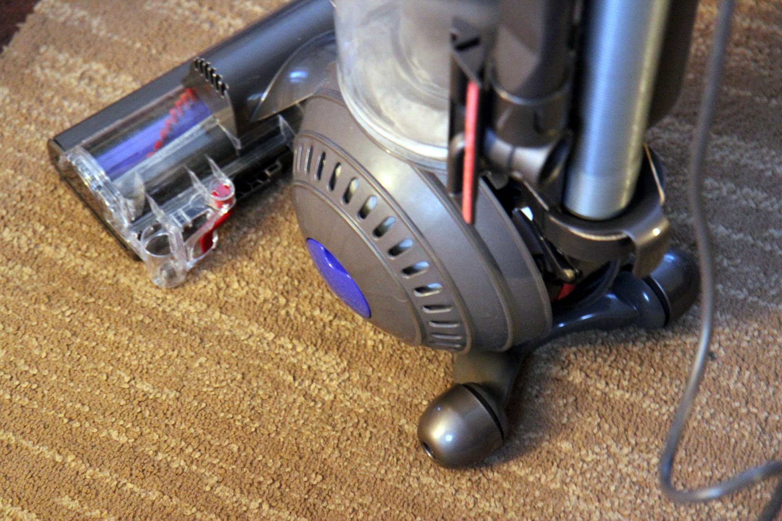 Review of the Dyson - Ball Animal Bagless Upright Vacuum