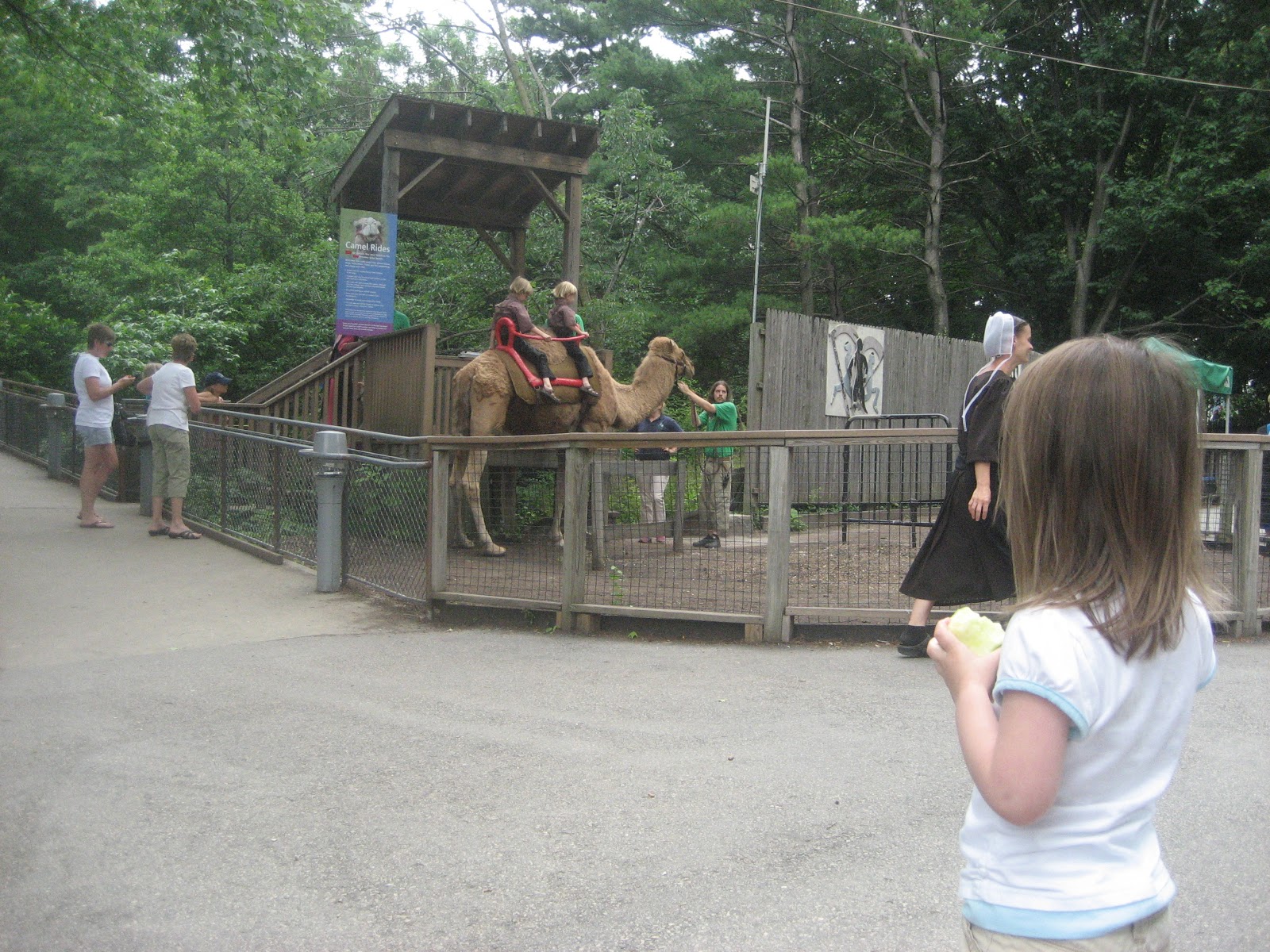 A Practical Approach to Family Summer Fun in Philly: Philadelphia Zoo ...