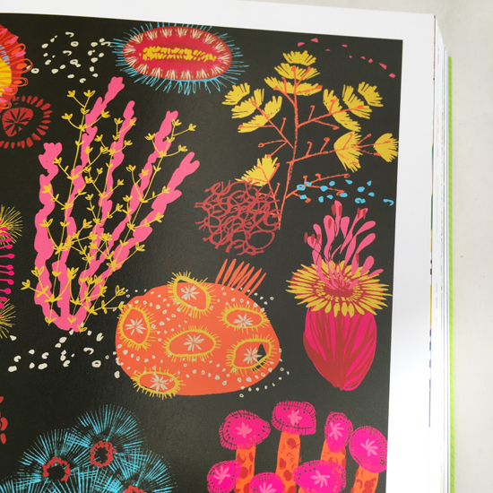 print & pattern NEW BOOK print & pattern nature